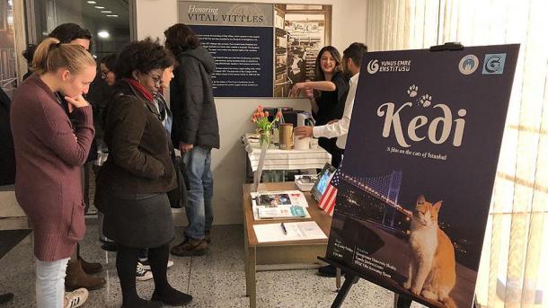 El documental 'Kedi' se presenta en EEUU