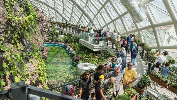 O Konya Tropical Butterfly Garden, o maior da Europa, recebeu 1,5 milhão de visitantes