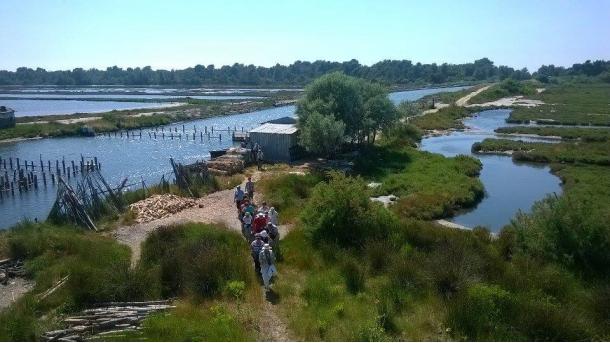 Divjaka tërheq vëmendjen e turistëve të huaj