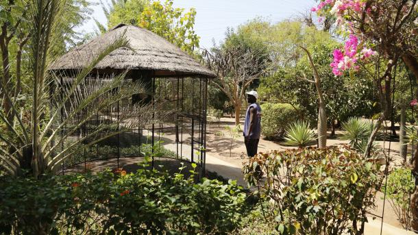 Zogjtë ekzotikë të Senegalit tërheqin vëmendjen e vizitorëve