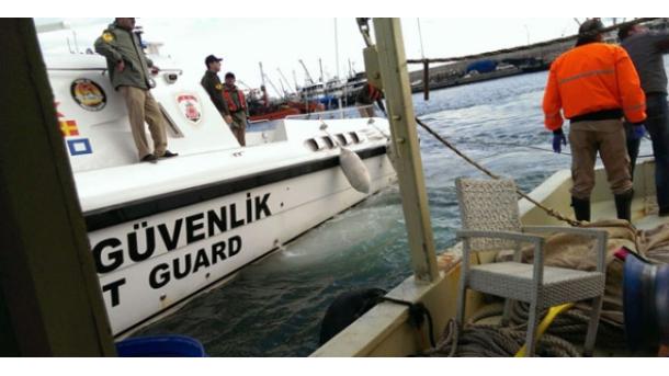 Turska obalska straža uhvatila 119 osoba sa Bliskog istoka u pokušaju prelaska u Grčku