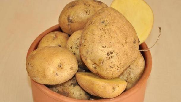 Kosova, eksportuese kryesore e patates në rajon