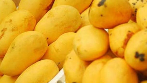 پاکستان آم برآمد کرنے والا تیسرا بڑا ملک