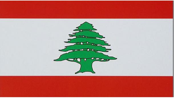 Analyse sur les Turkmènes du Liban