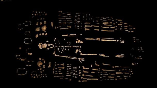 Arkeologët zbulojnë "paraardhësin e njeriut", "homo naledi"