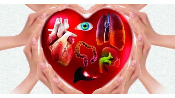 Turqi: Iniciativa për vëllazërinë e transplantimit të organeve