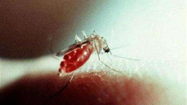 República Dominicana reporta 30 muertes por el dengue