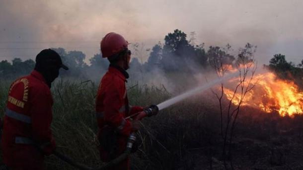 Kebakaran Hutan di Indonesia,Pihak Berkuasa Menyeru Orang Awam Menghadkan Aktiviti Luaran Mereka
