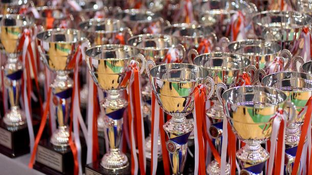 Турецкая сборная стала победителем 13-ого Чемпионата Европы по тхэквондо