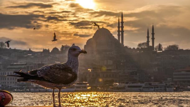 Je wajua kwamba İstanbul ni moja kati ya miji ya kale zaidi duniani ?