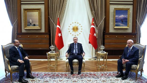erdogan kabul 2.jpg