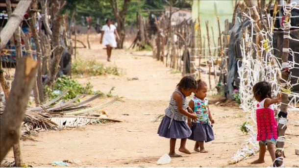 Migrantes venezolanos en Maicao: sin trabajo, salud ni educación