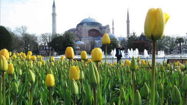 istanbul lale (16).jpg
