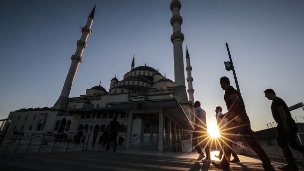 Nogayşa 231: Nepiske nasihat