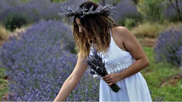 Em Isparta, na Turquia, os 'Dias de lavanda' começam