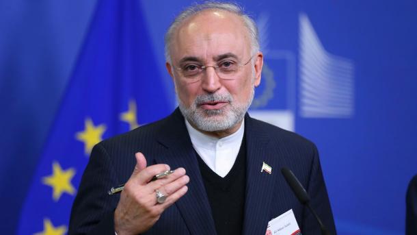 Глава Агентства по атомной энергии Ирана дал оценку ядерной программе своей страны