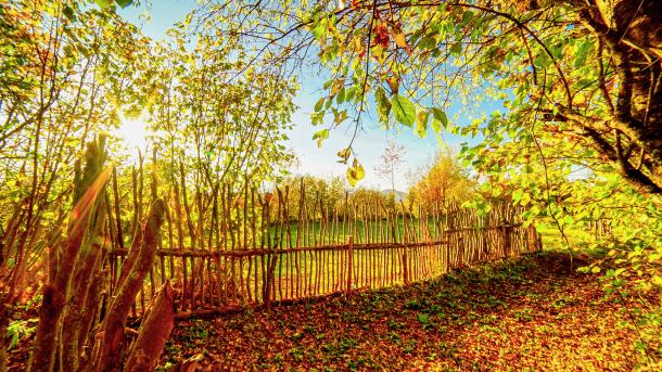 artvin11