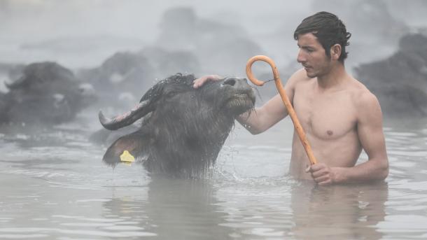 Zimsko uživanje: Mladići i životinje se zajedno kupaju u termalnoj vodi
