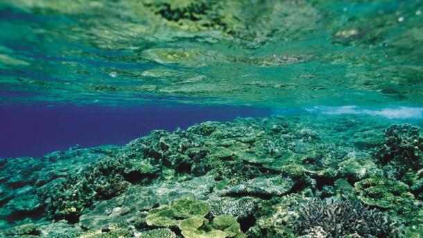 España se dispone a extender en el mar su Red Natura 2000