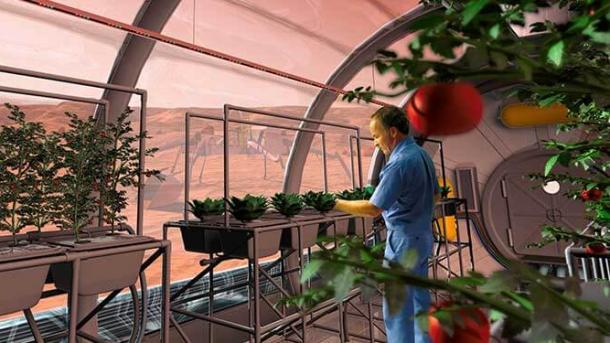 Bujqësia hapësinore – Serra në orbitën e Tokës për të kultivuar domate!