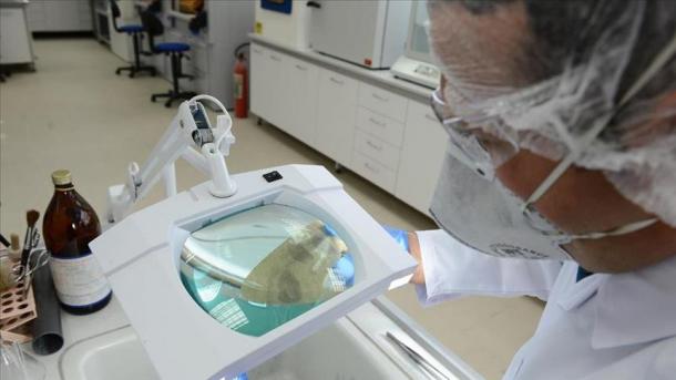 Beaucoup plus d'enfants meurent du cancer que ce qu'on pensait (étude)
