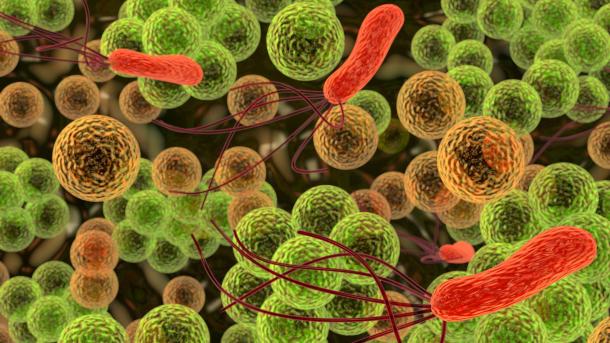 Japonia, infectie cauzata de bacterii carnivore