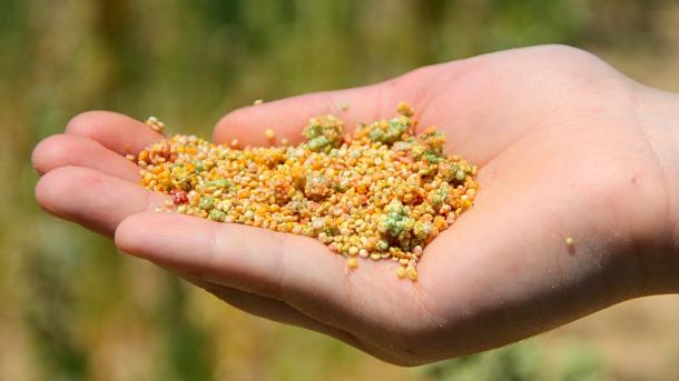 Ushqimet ideale të natyrshme që nuk përmbajnë gluten