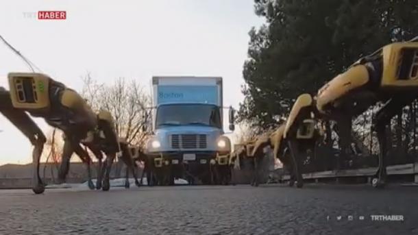 Maroboti ya Spotpower yakivuta roli