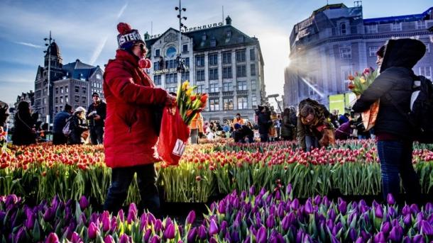 Diversidade de cores no dia nacional de tulipa em Amesterdã