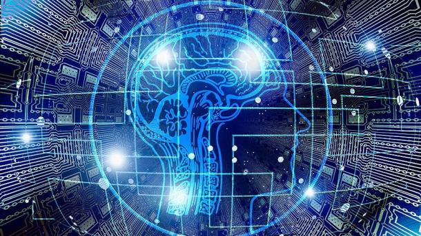 人間の精神的経験の際に脳の側膜のニューロンが活性化することが判明