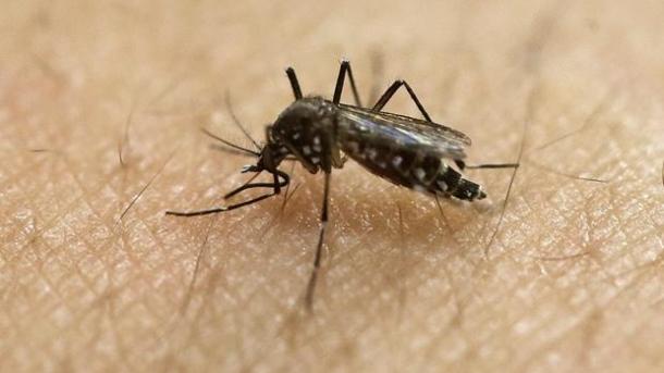 Spanjë-Regjistrohet rasti i katërt i virusit Zika