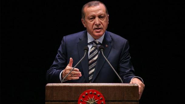 Президент Турции: Лига арабских государств должна занимать твердую позицию