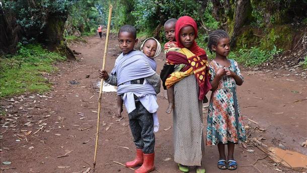 ONG reporta que la mitad de los niños del mundo experimenta la violencia en diversas formas