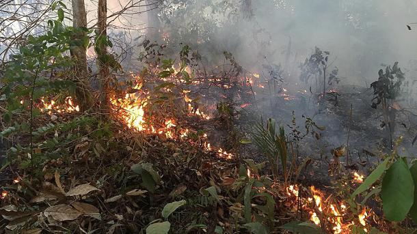 « Le Brésil n’a pas les moyens de combattre l’incendie en Amazonie » (président brésilien)