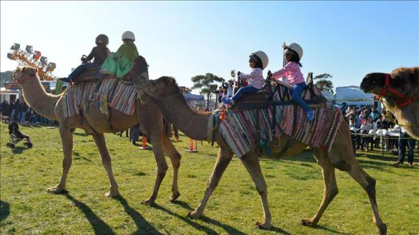 Melbourne mirëpret Festivalin e Bajramit