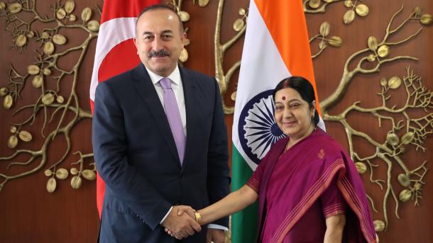 チャウショール外相、インド訪問