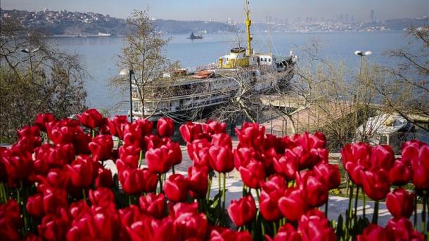 istanbul lale (8).jpg