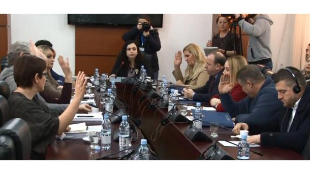 Vjosa Osmani-dışişleri komisyonu başkanı.jpg