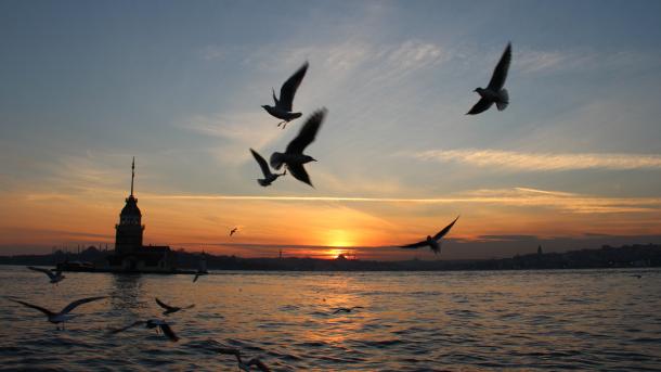 08.09.2019 TAPŞIRULAR 13:00