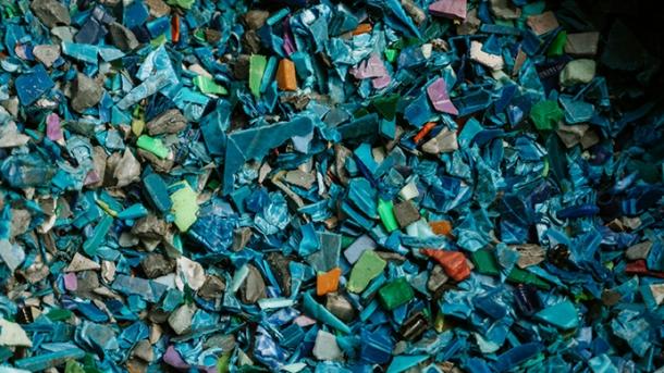 Microplastics and Human Health: Links to Cancer and Reproductive Risks