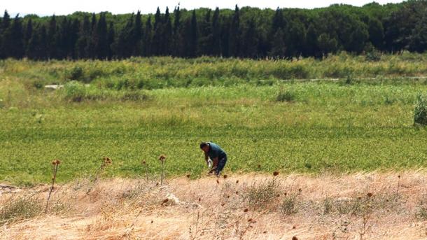 Descobrem um cemitério de soldados caídos na Batalha de Çanakkale