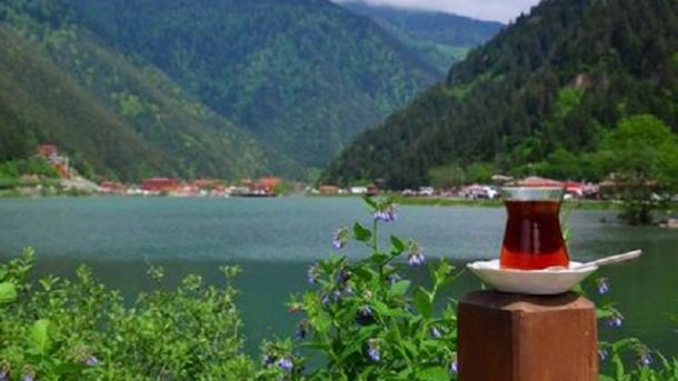 24.01.2019 TAPŞIRULAR 14:00