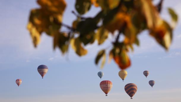 20.09.2019 TAPŞIRULAR 13:00