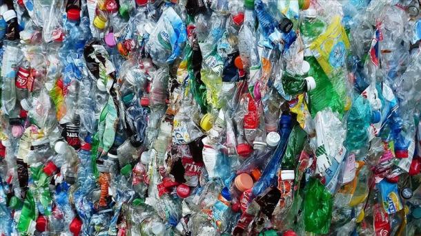 Sguardi Curiosi - Global Plastic Pact