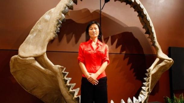Todavía vive en los océanos el animal que causó la extinción del gigante tiburón Megalodon
