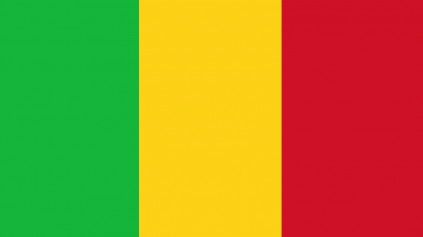 Mali: Pripadnici snaga sigurnosti neutralizirali 10 terorista