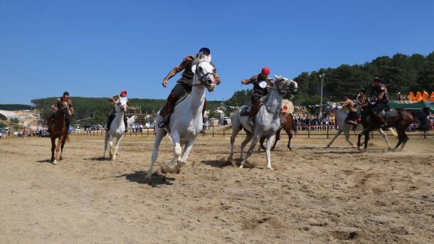 Festivalul Sporturilor Strămoșești