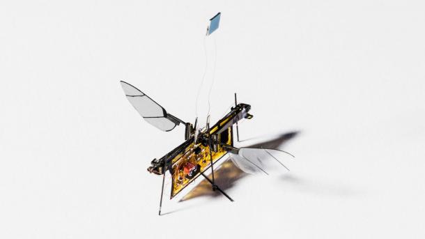 RoboFly, primera robomosca voladora sin baterías
