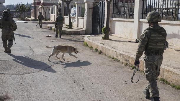 Afrin.jpg