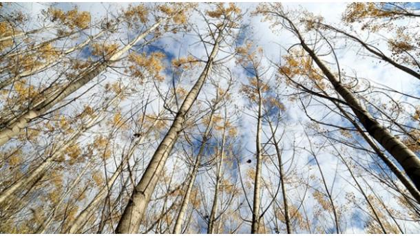 El otoño en la provincia Göksun de Kahramanmaraş que sale adelante con su naturaleza pura